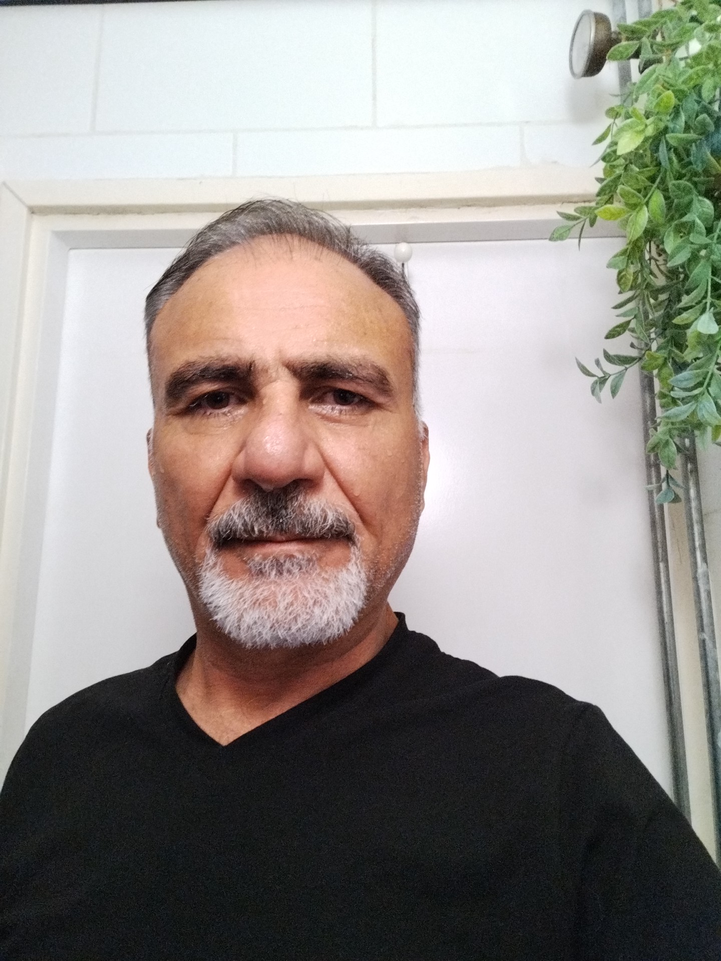 kamran